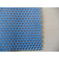 Hexagonal Hole HDPE Mesh en plastique pour la construction